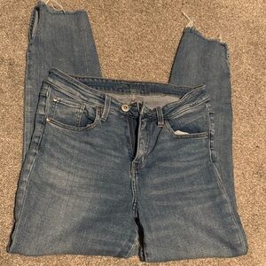 Jag Jeans Women's Straight Leg Denim